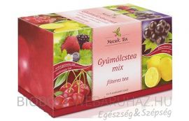 Mecsek Gyümölcstea Mix 20 filter 40g