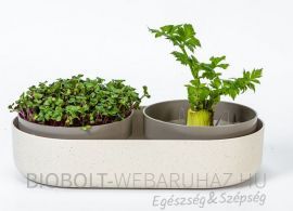 Plastia microgreens +regrow csíráztató edény