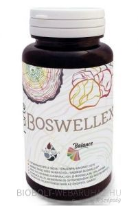 Freyagena Balance Forte Boswellex (boswellia, indiai tömjénfa-kivonat) kapszula 60db*