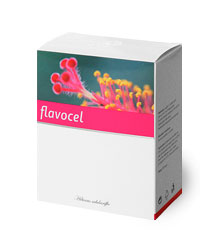 Energy Flavocel 150db